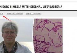 俄罗斯细菌爆料视频在线观看,网络视频曝光真相