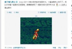 晶核最新宠物爆料,神秘生物引领奇幻冒险之旅